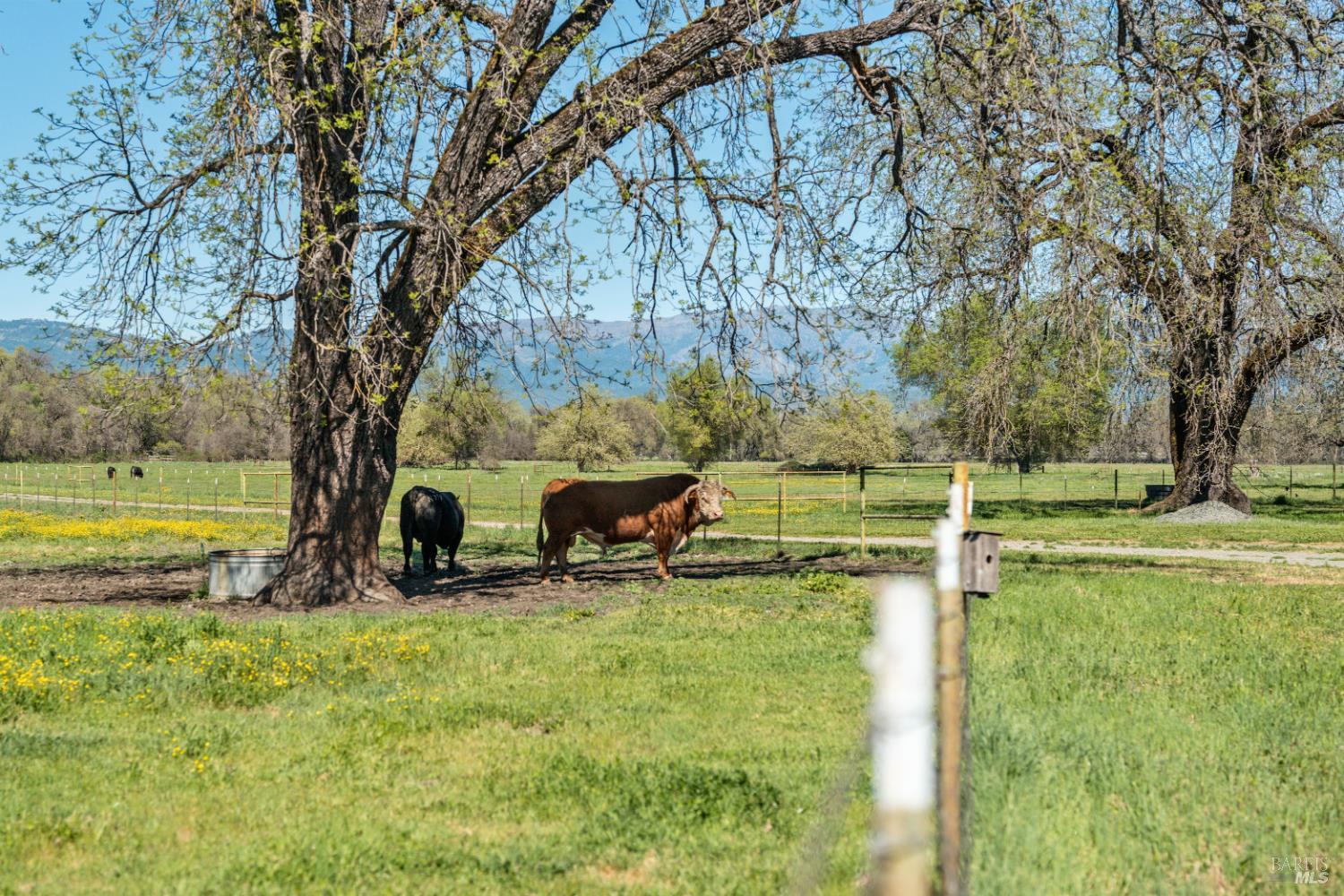 73001 Covelo Road Covelo CA 95428