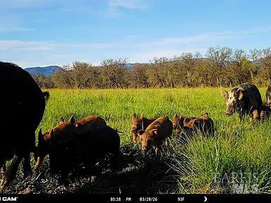 73001 Covelo Road Covelo CA 95428