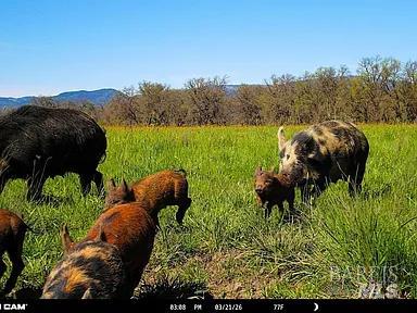73001 Covelo Road Covelo CA 95428