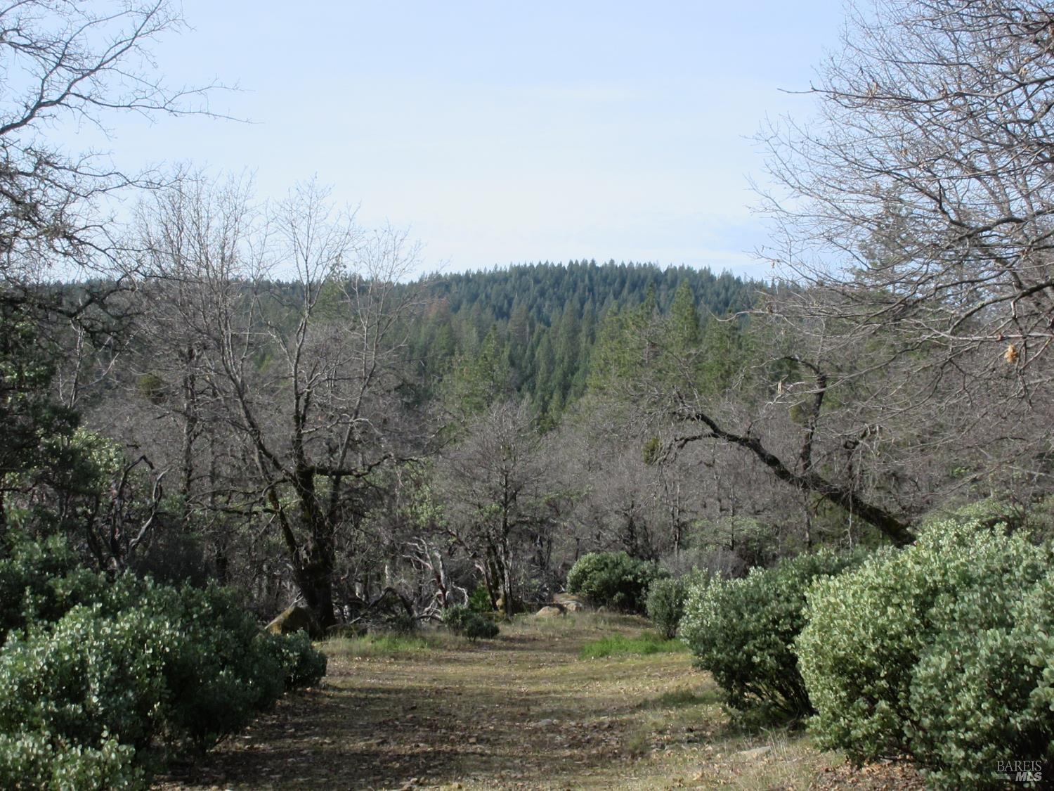 30425 Frontier Road Oak Run CA 96069