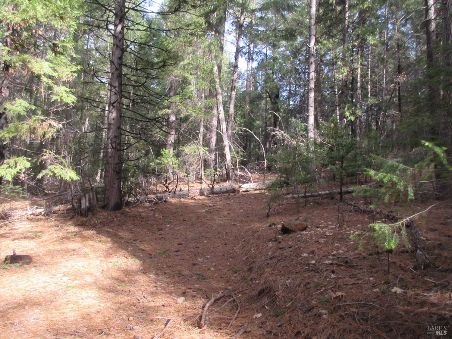 30425 Frontier Road Oak Run CA 96069