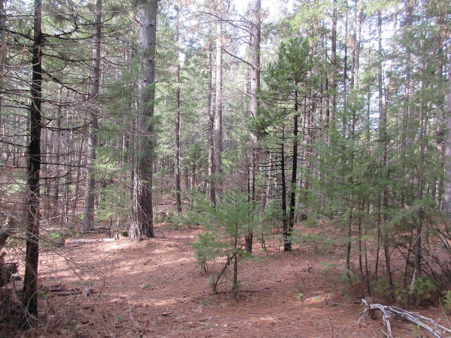 30425 Frontier Road Oak Run CA 96069