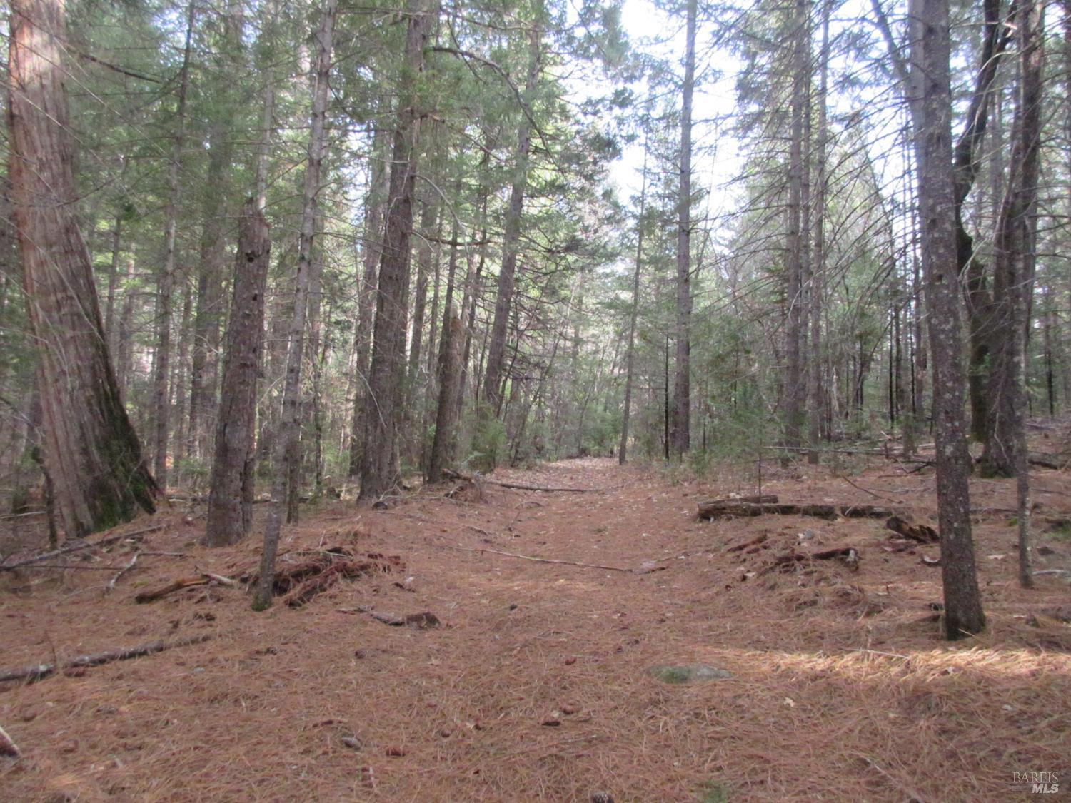 30425 Frontier Road Oak Run CA 96069