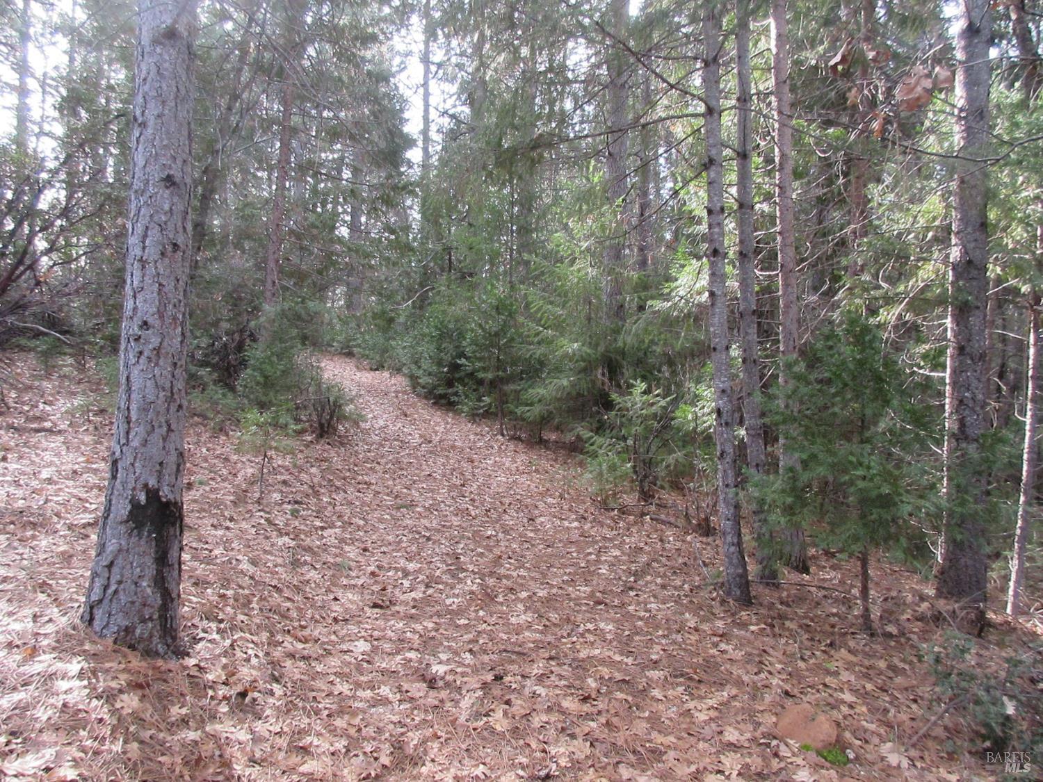 30425 Frontier Road Oak Run CA 96069
