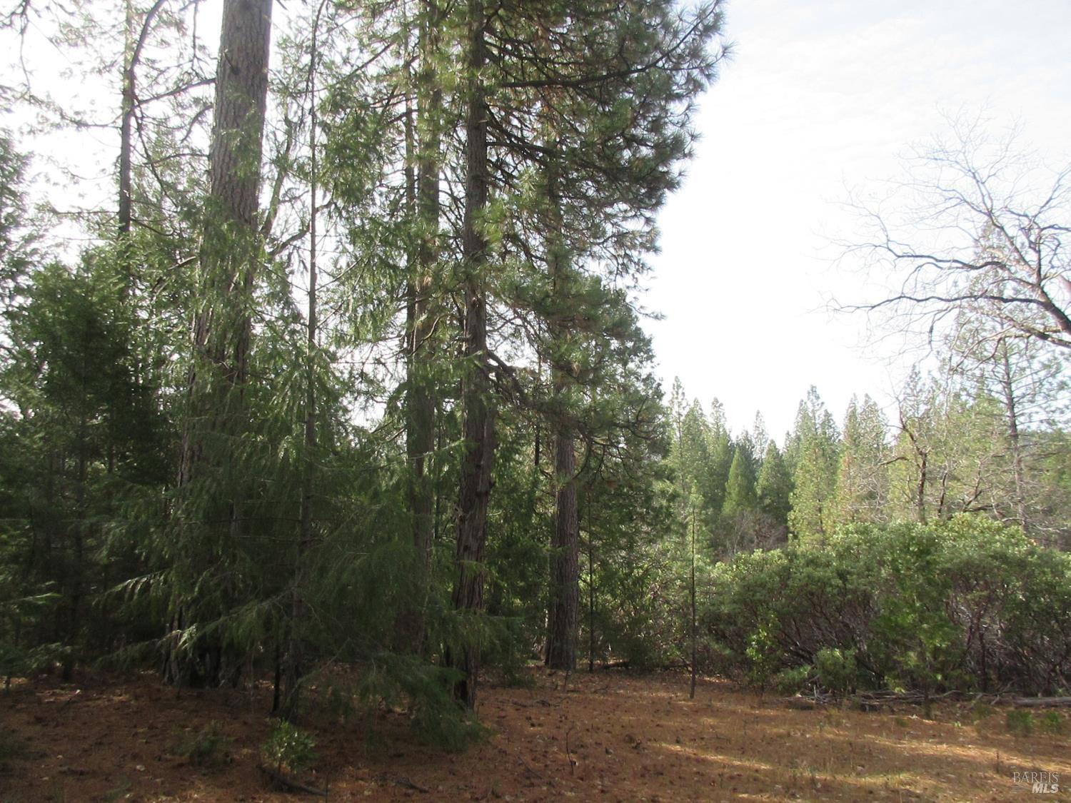30425 Frontier Road Oak Run CA 96069