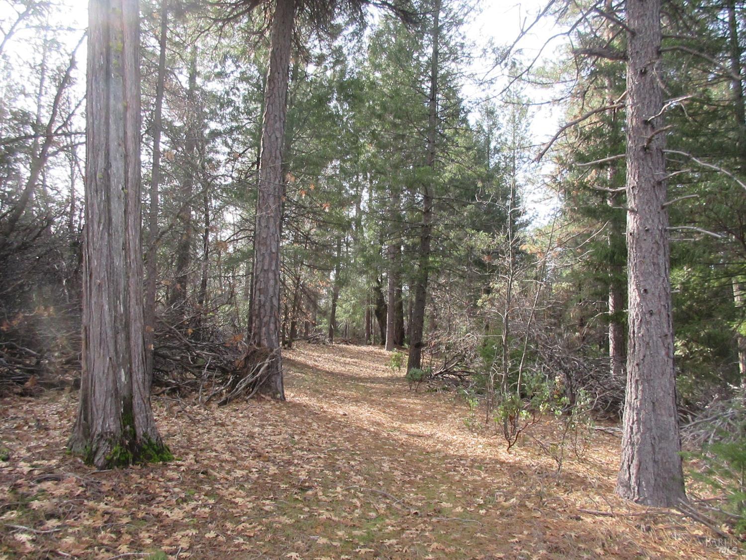 30425 Frontier Road Oak Run CA 96069
