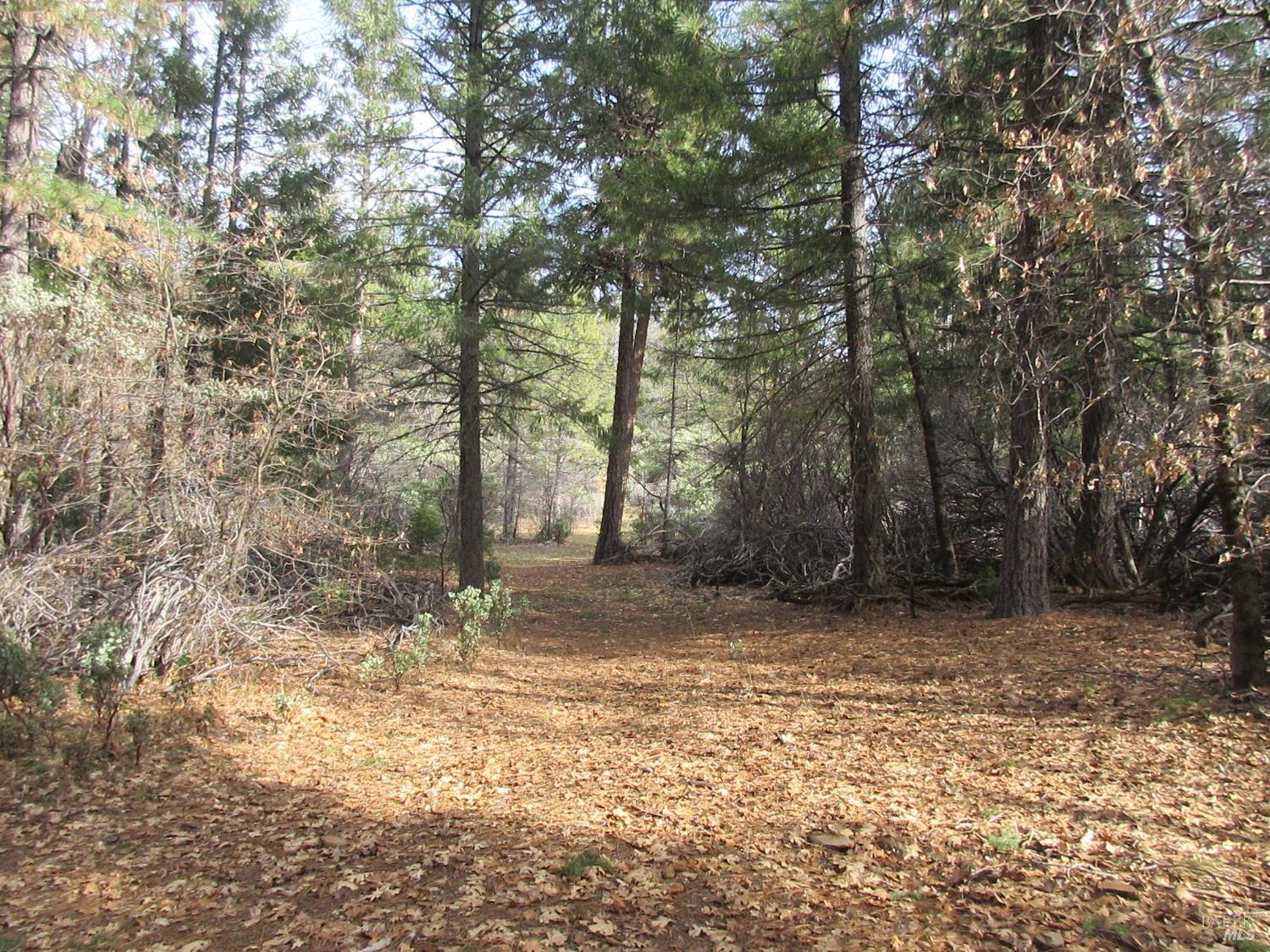 30425 Frontier Road Oak Run CA 96069