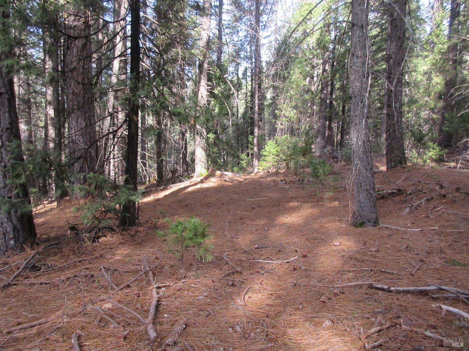 30425 Frontier Road Oak Run CA 96069