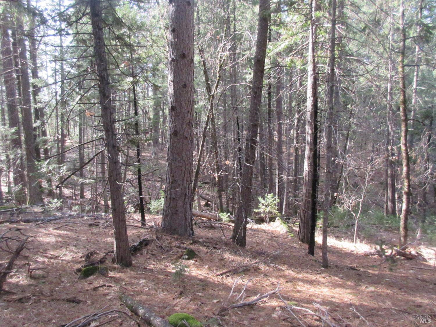 30425 Frontier Road Oak Run CA 96069