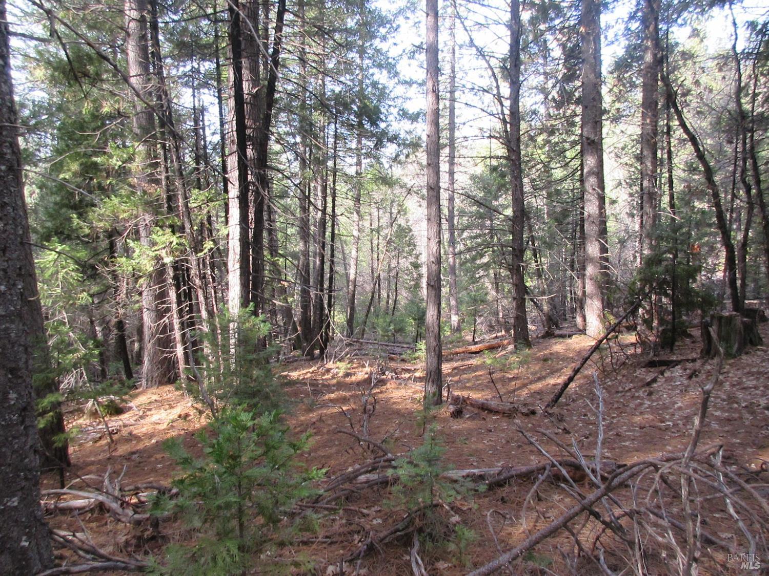 30425 Frontier Road Oak Run CA 96069