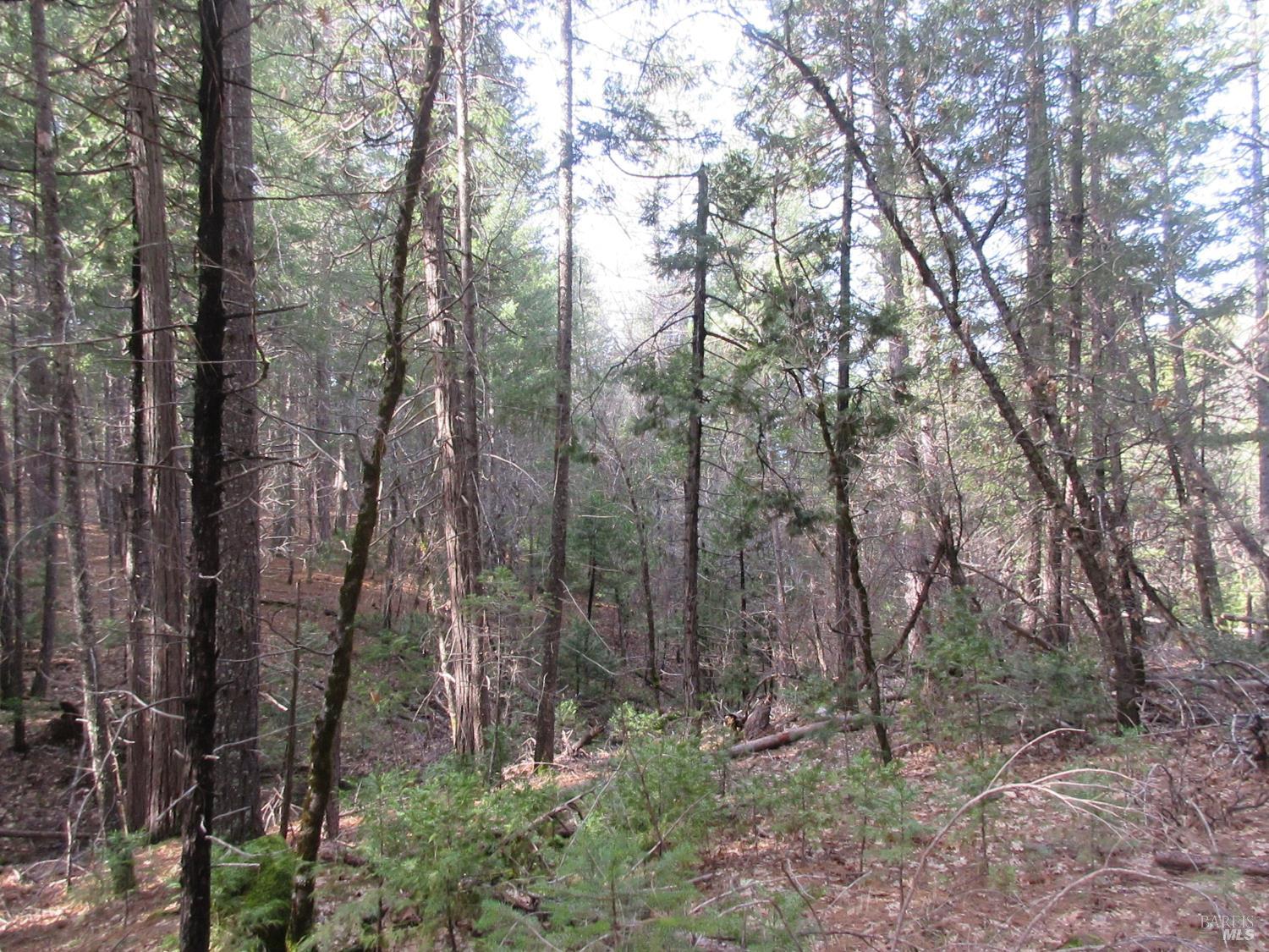 30425 Frontier Road Oak Run CA 96069