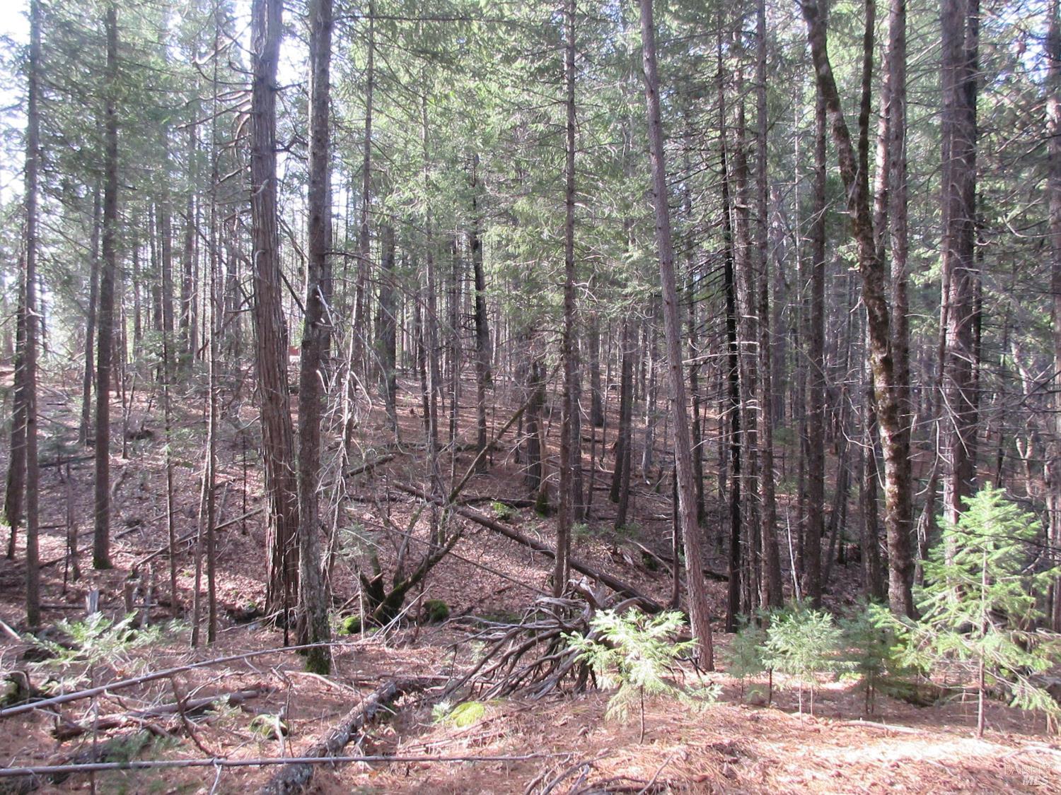 30425 Frontier Road Oak Run CA 96069