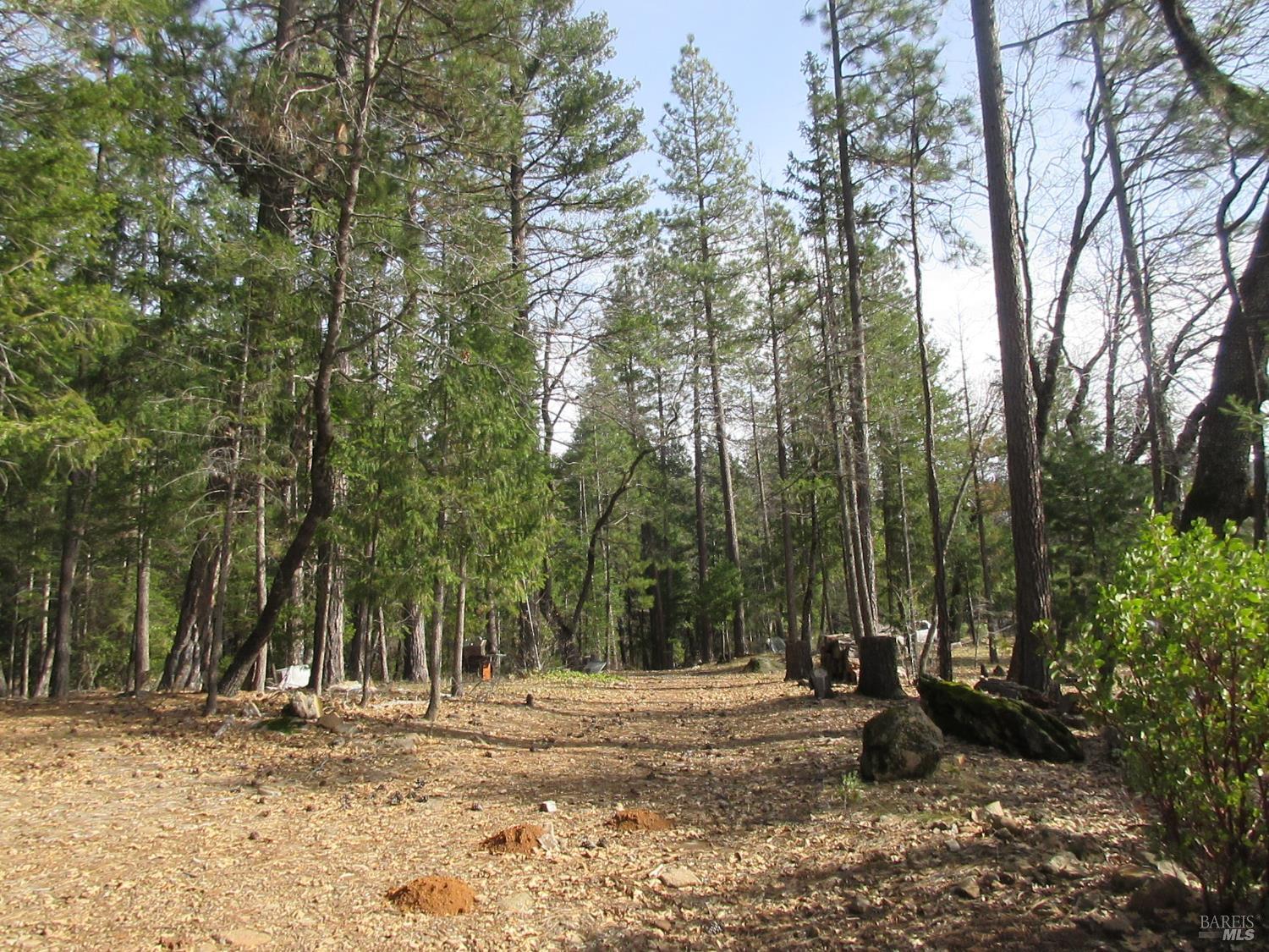 30425 Frontier Road Oak Run CA 96069
