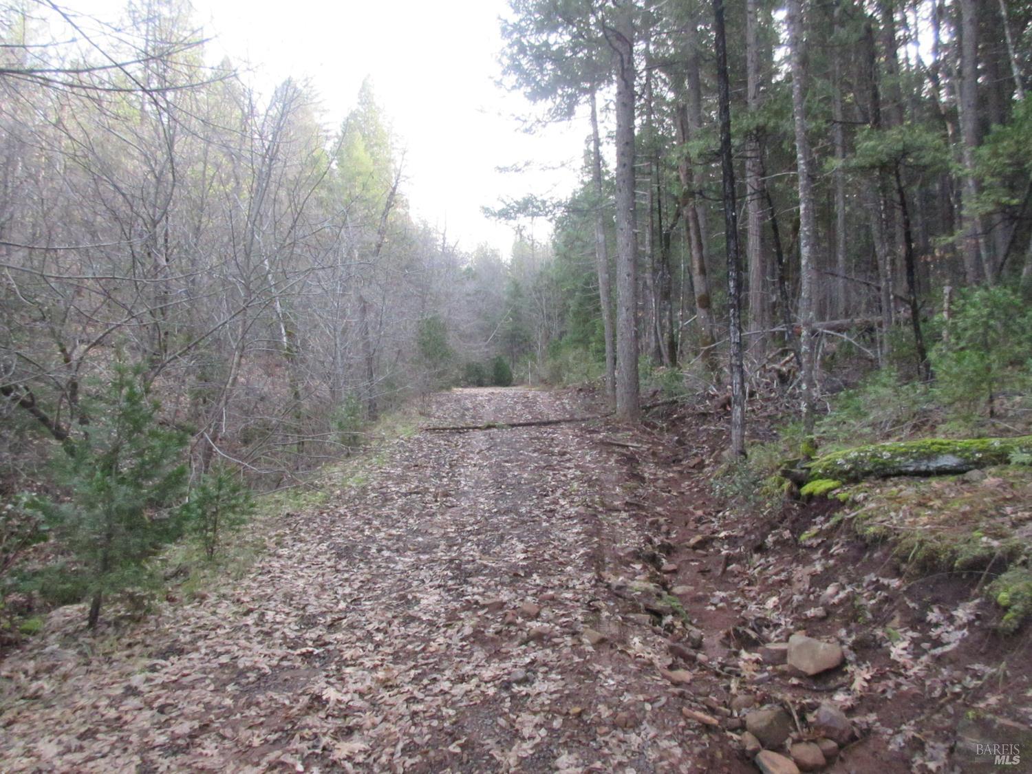 30425 Frontier Road Oak Run CA 96069