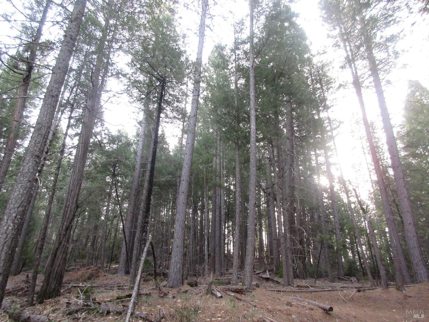 30425 Frontier Road Oak Run CA 96069