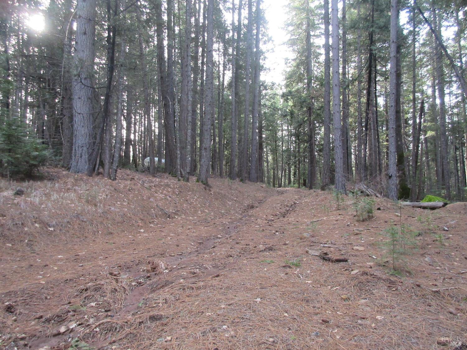 30425 Frontier Road Oak Run CA 96069