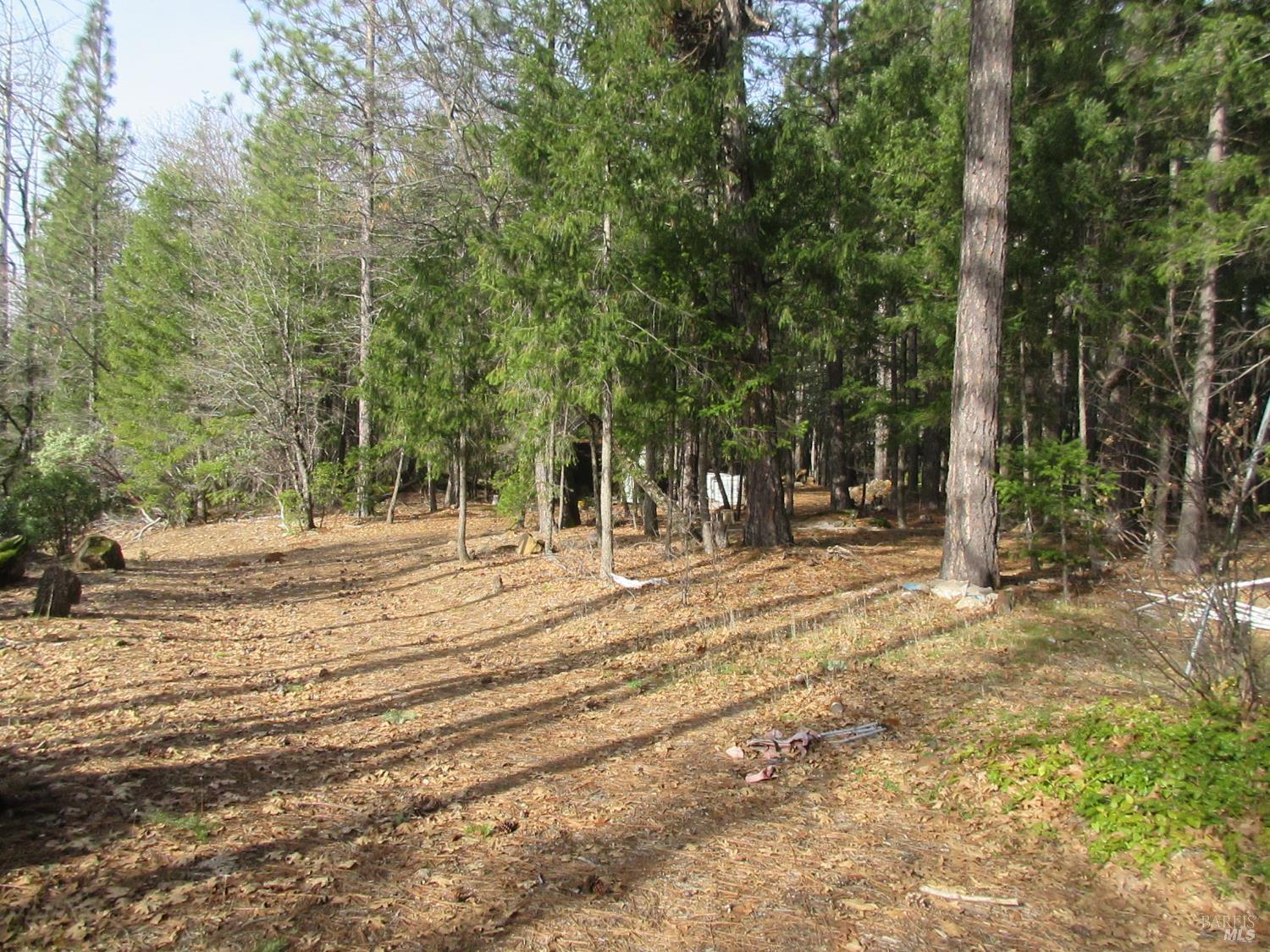 30425 Frontier Road Oak Run CA 96069