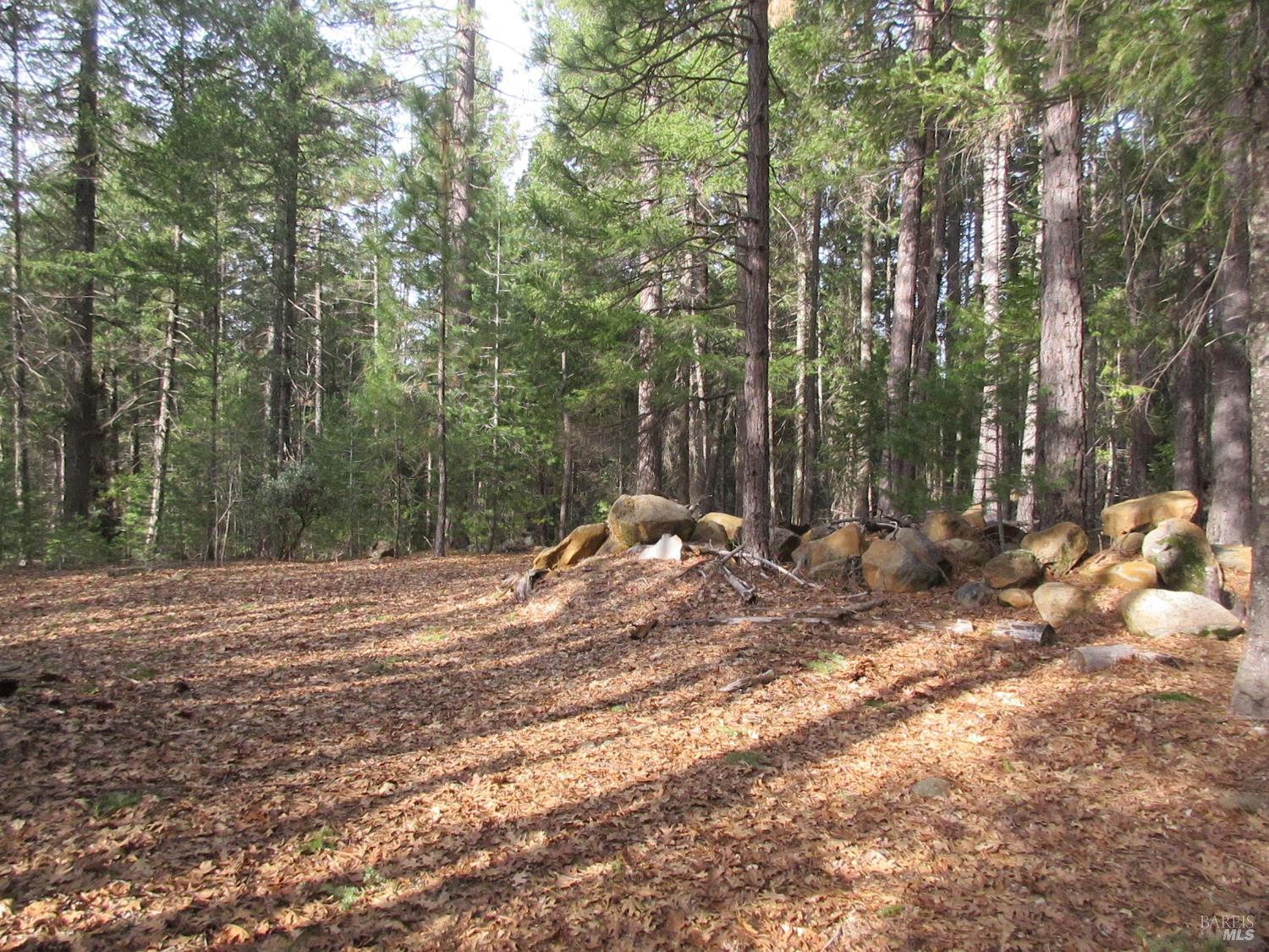 30425 Frontier Road Oak Run CA 96069