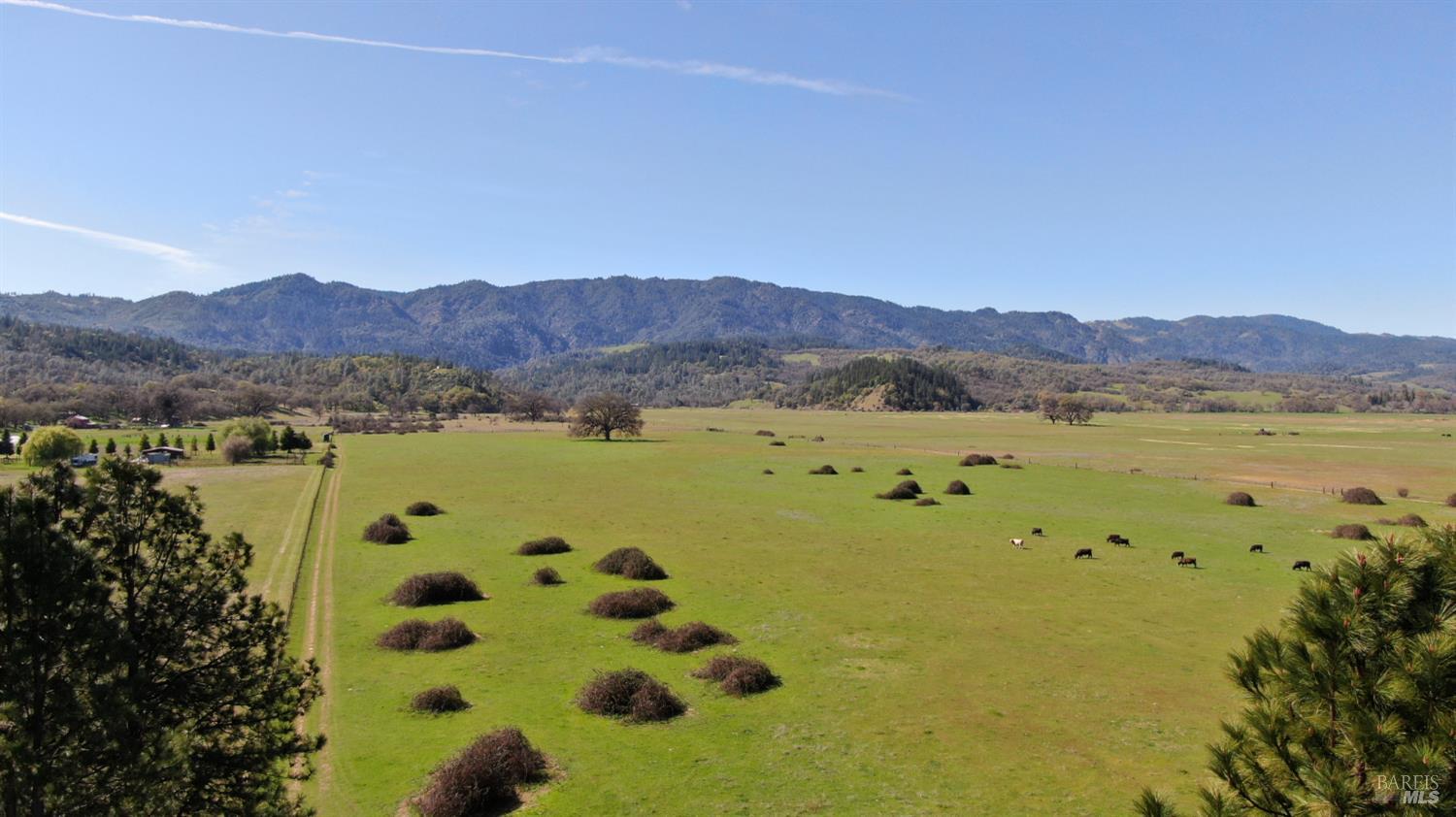 74200 Covelo Road Covelo CA 95428