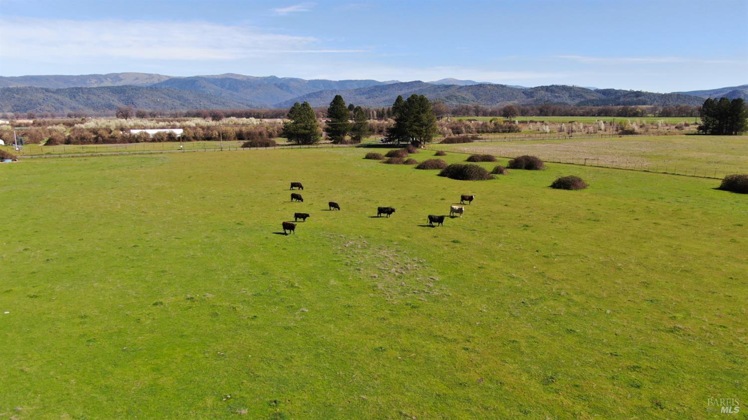 74200 Covelo Road Covelo CA 95428