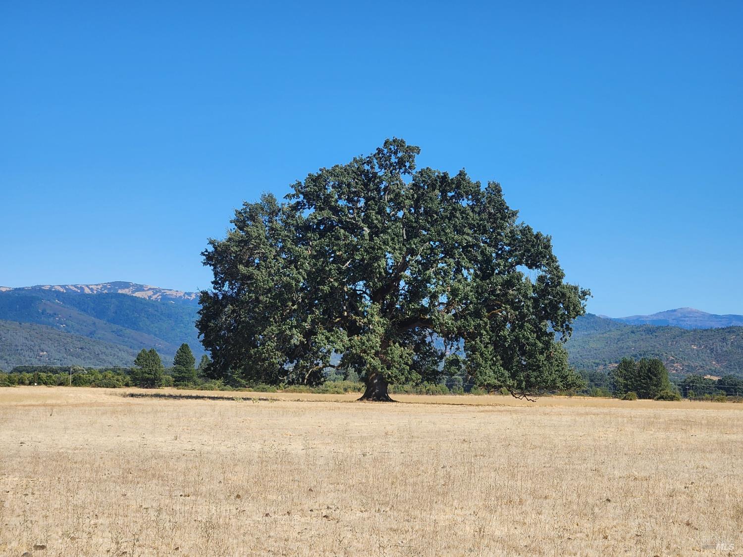 74200 Covelo Road Covelo CA 95428