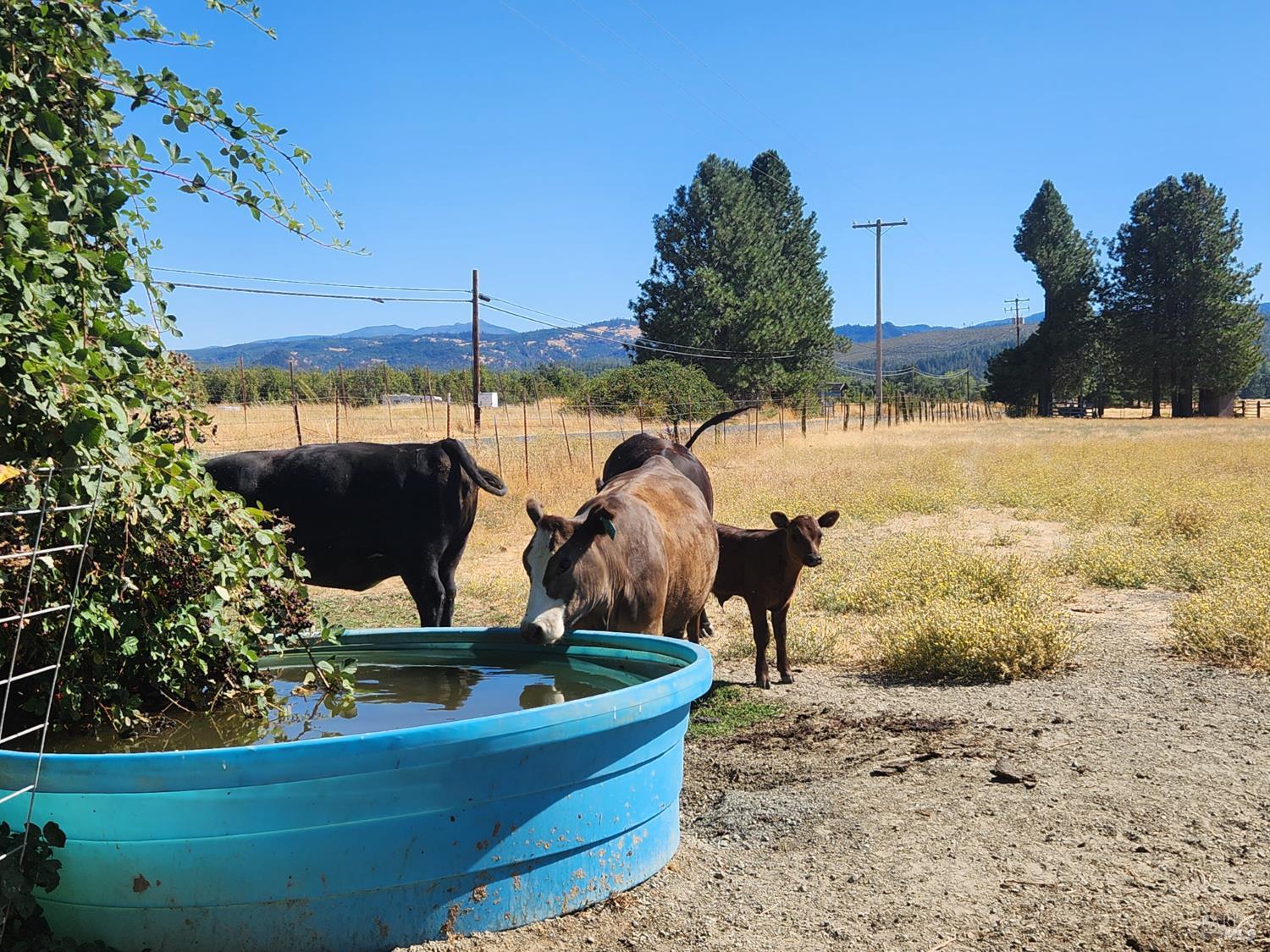 74200 Covelo Road Covelo CA 95428