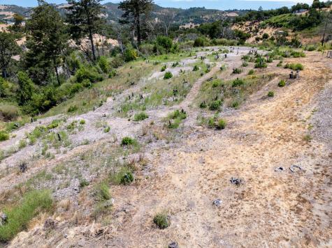 3926 Silver Fox Court Santa Rosa CA 95403