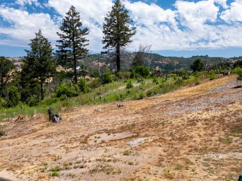 3926 Silver Fox Court Santa Rosa CA 95403