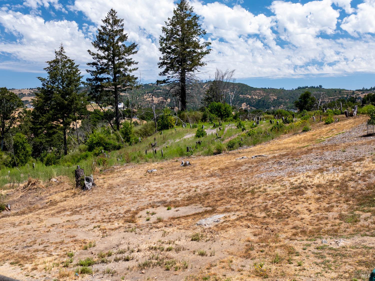 3926 Silver Fox Court Santa Rosa CA 95403