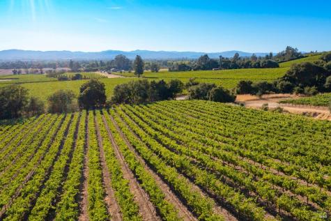 1276 Jensen Lane Windsor CA 95492