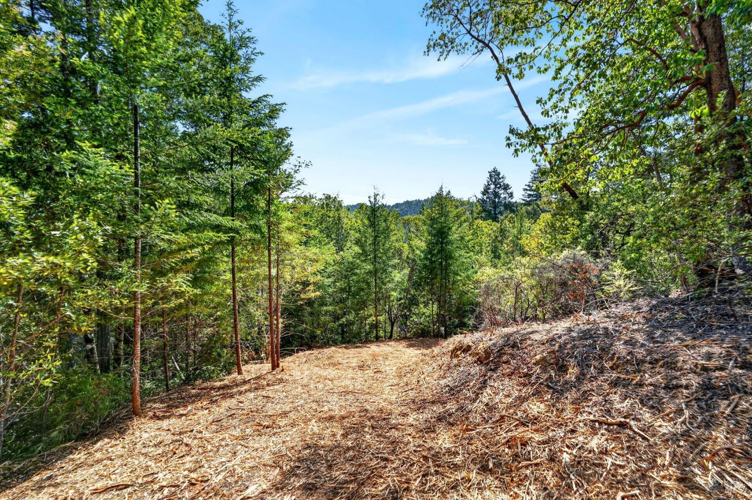 0 Maple Basin Road Philo CA 95466