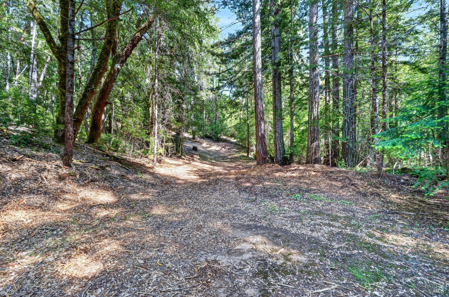 0 Maple Basin Road Philo CA 95466