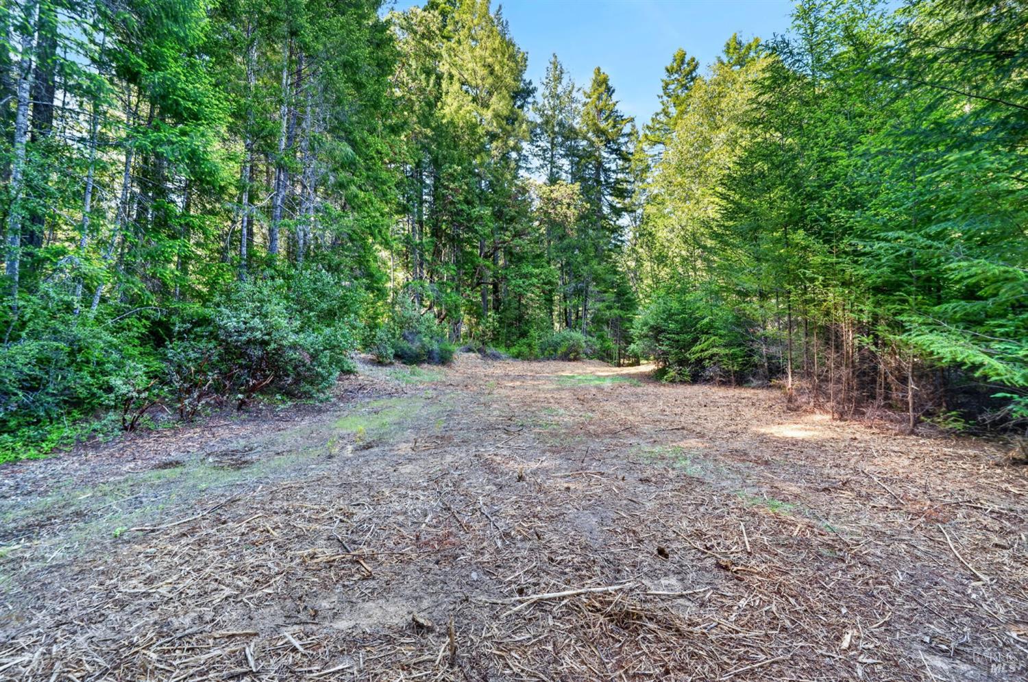 0 Maple Basin Road Philo CA 95466