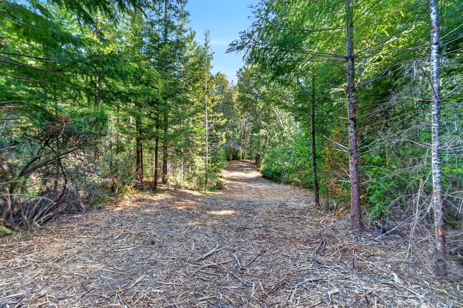 0 Maple Basin Road Philo CA 95466