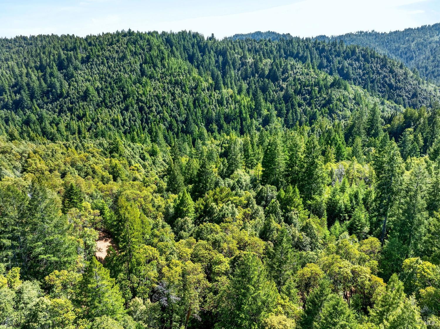0 Maple Basin Road Philo CA 95466