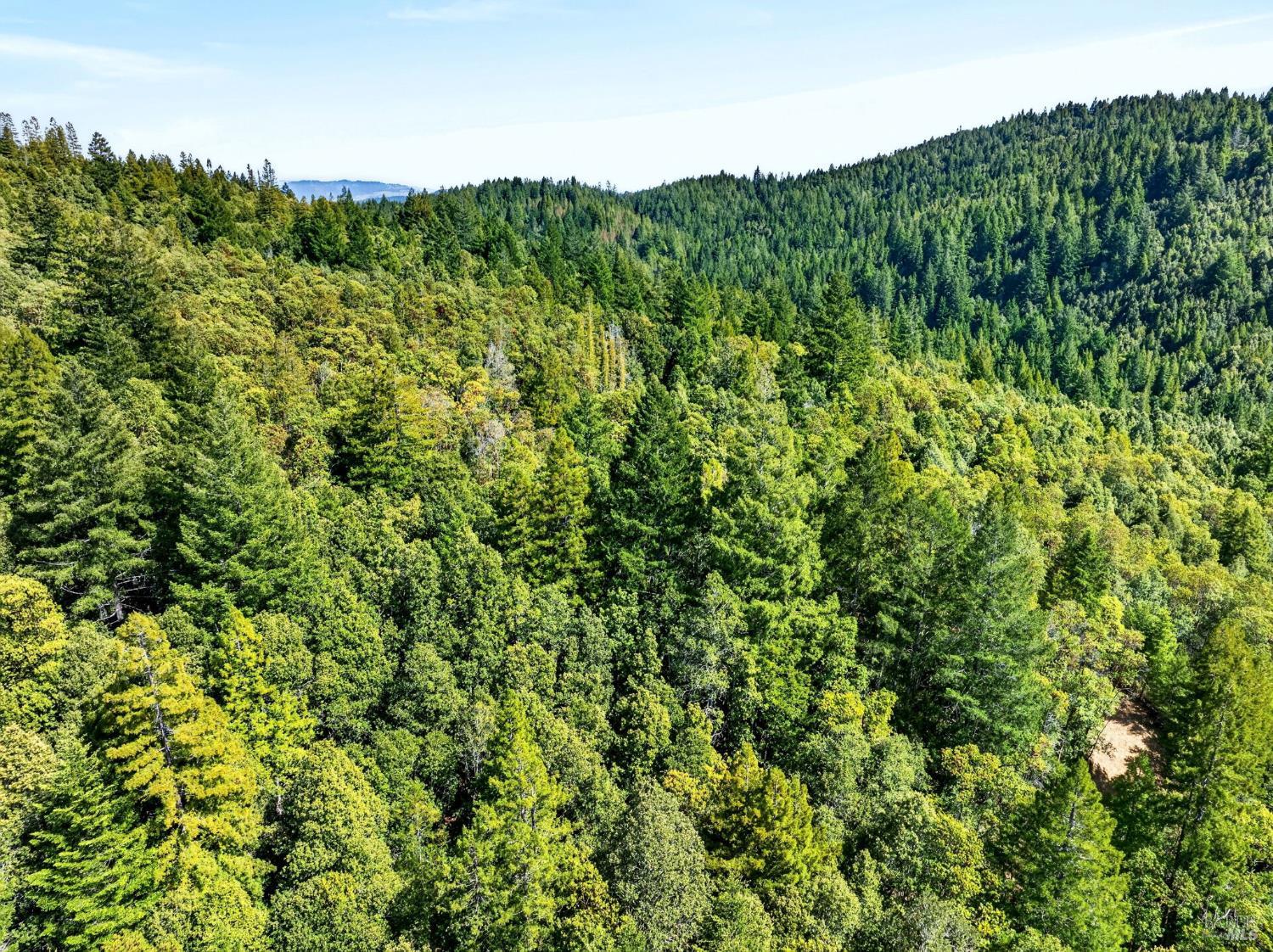 0 Maple Basin Road Philo CA 95466