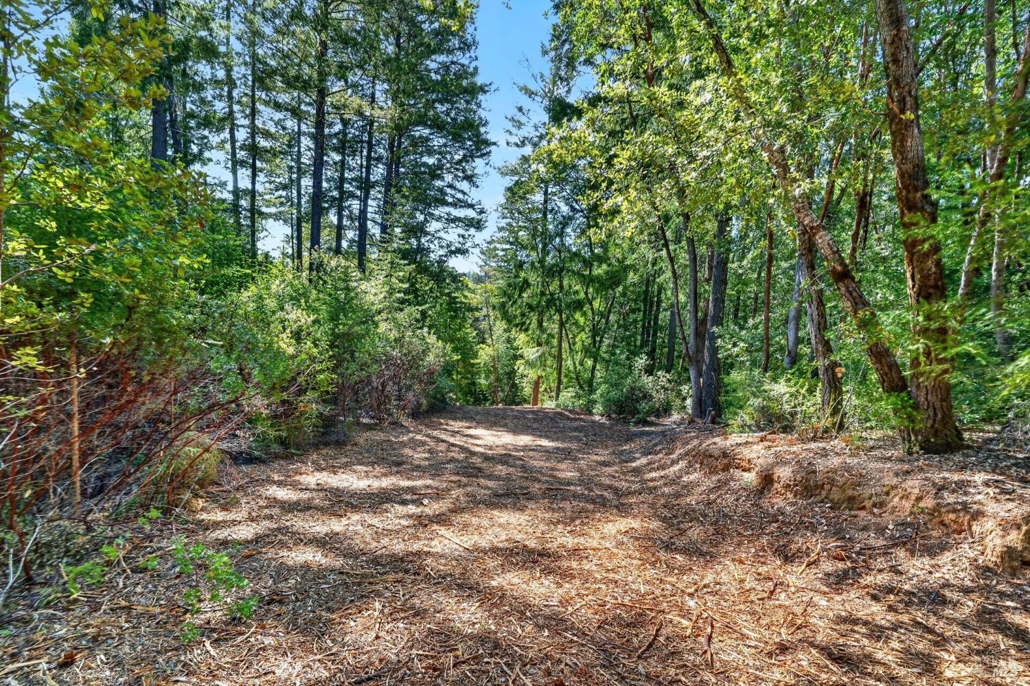 0 Maple Basin Road Philo CA 95466