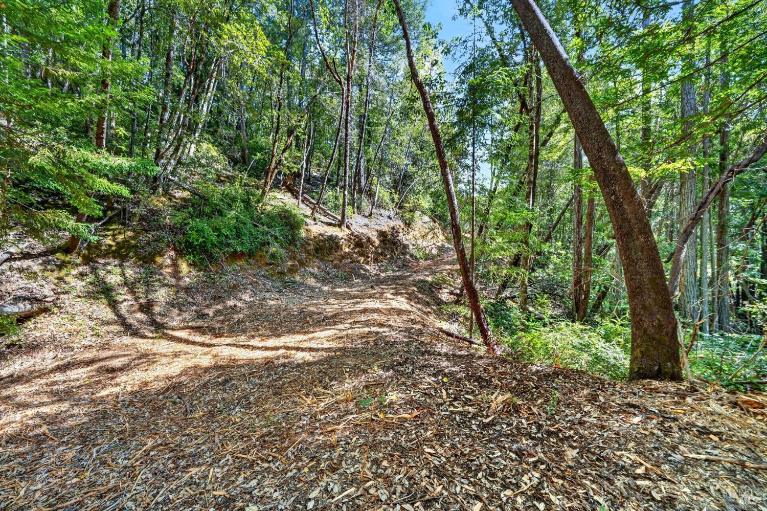0 Maple Basin Road Philo CA 95466