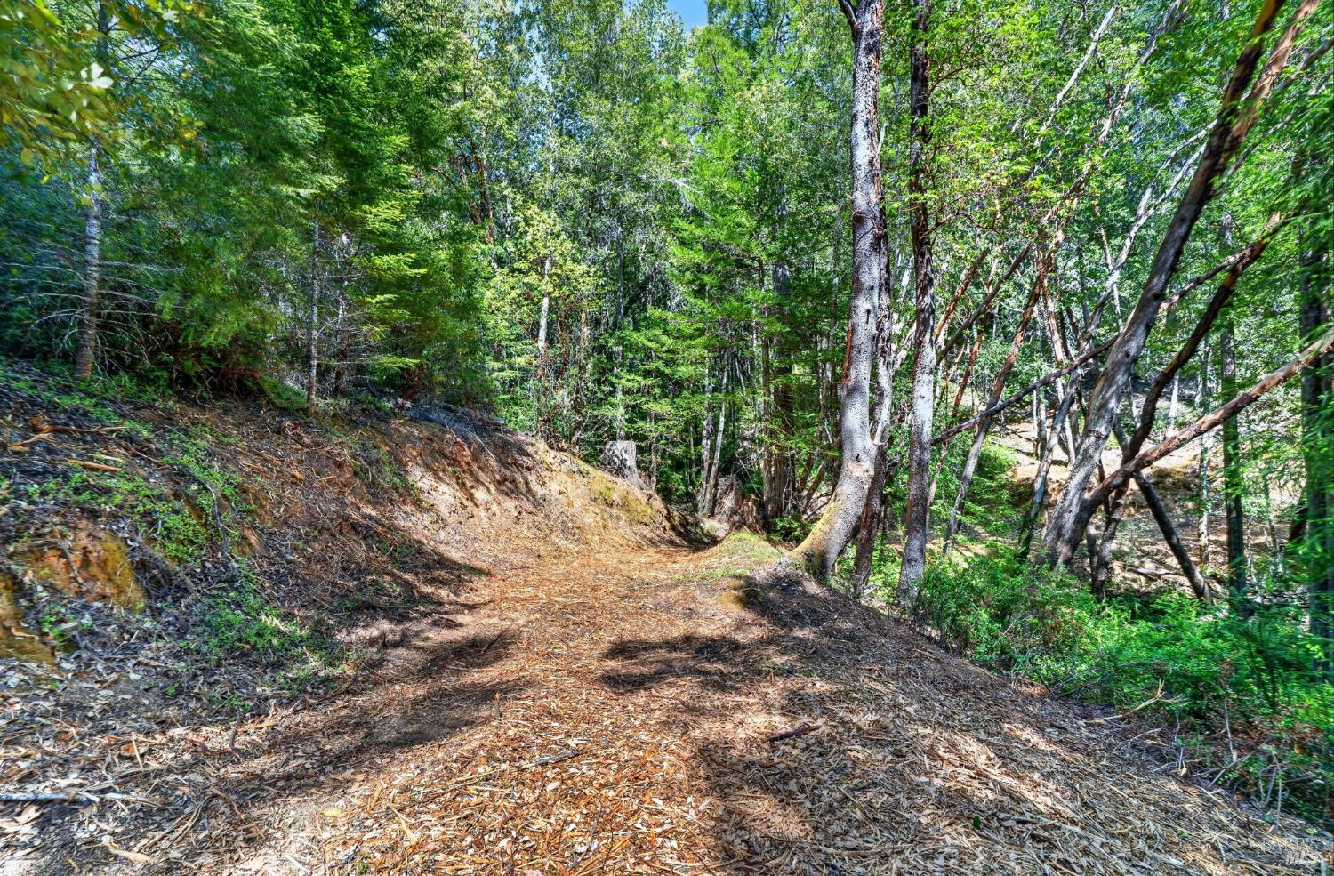 0 Maple Basin Road Philo CA 95466