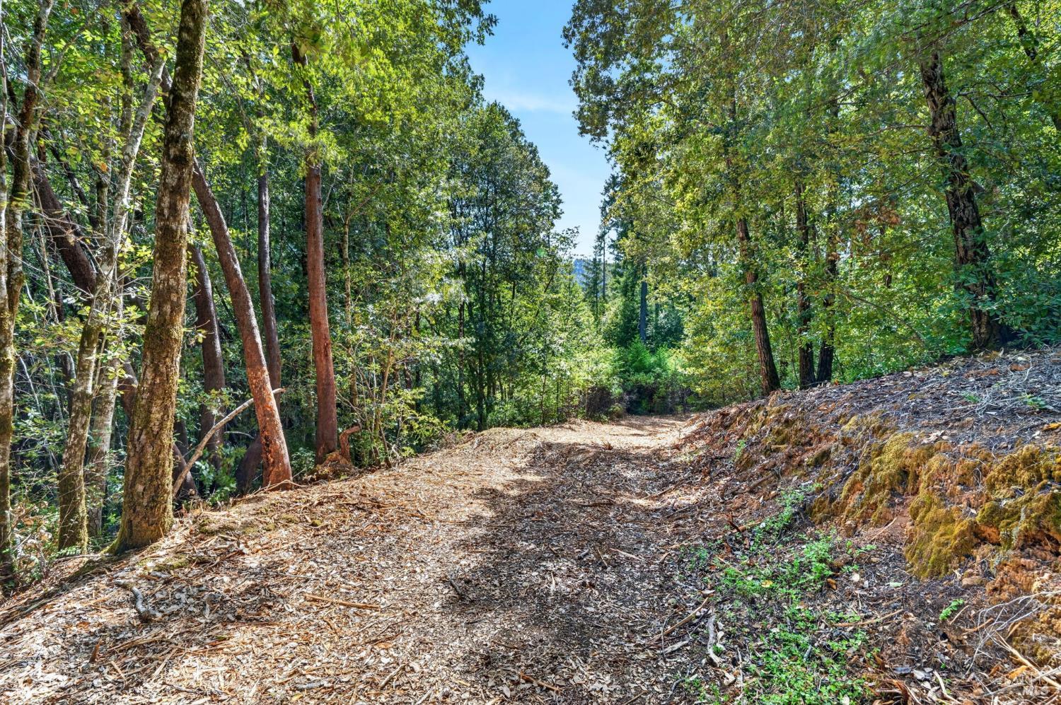 0 Maple Basin Road Philo CA 95466