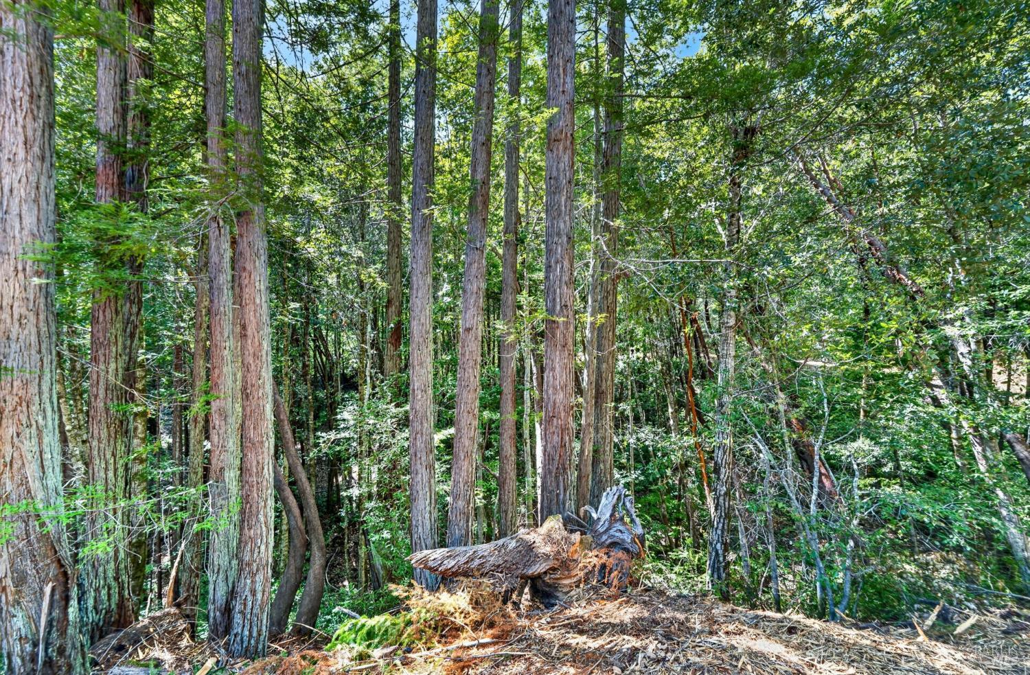 0 Maple Basin Road Philo CA 95466