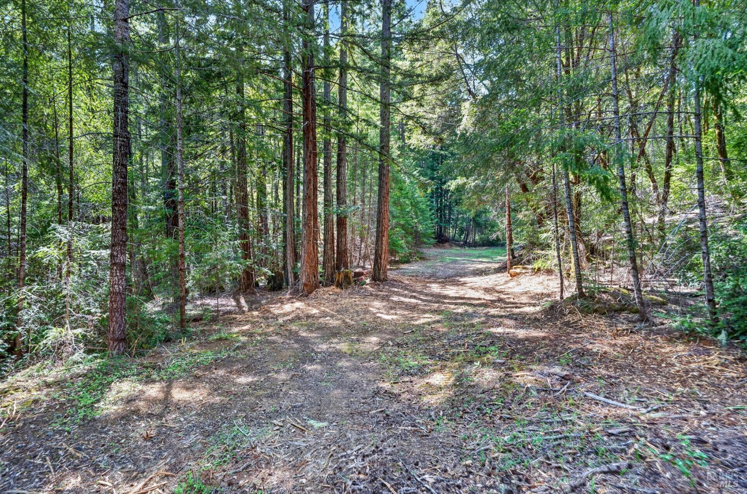 0 Maple Basin Road Philo CA 95466