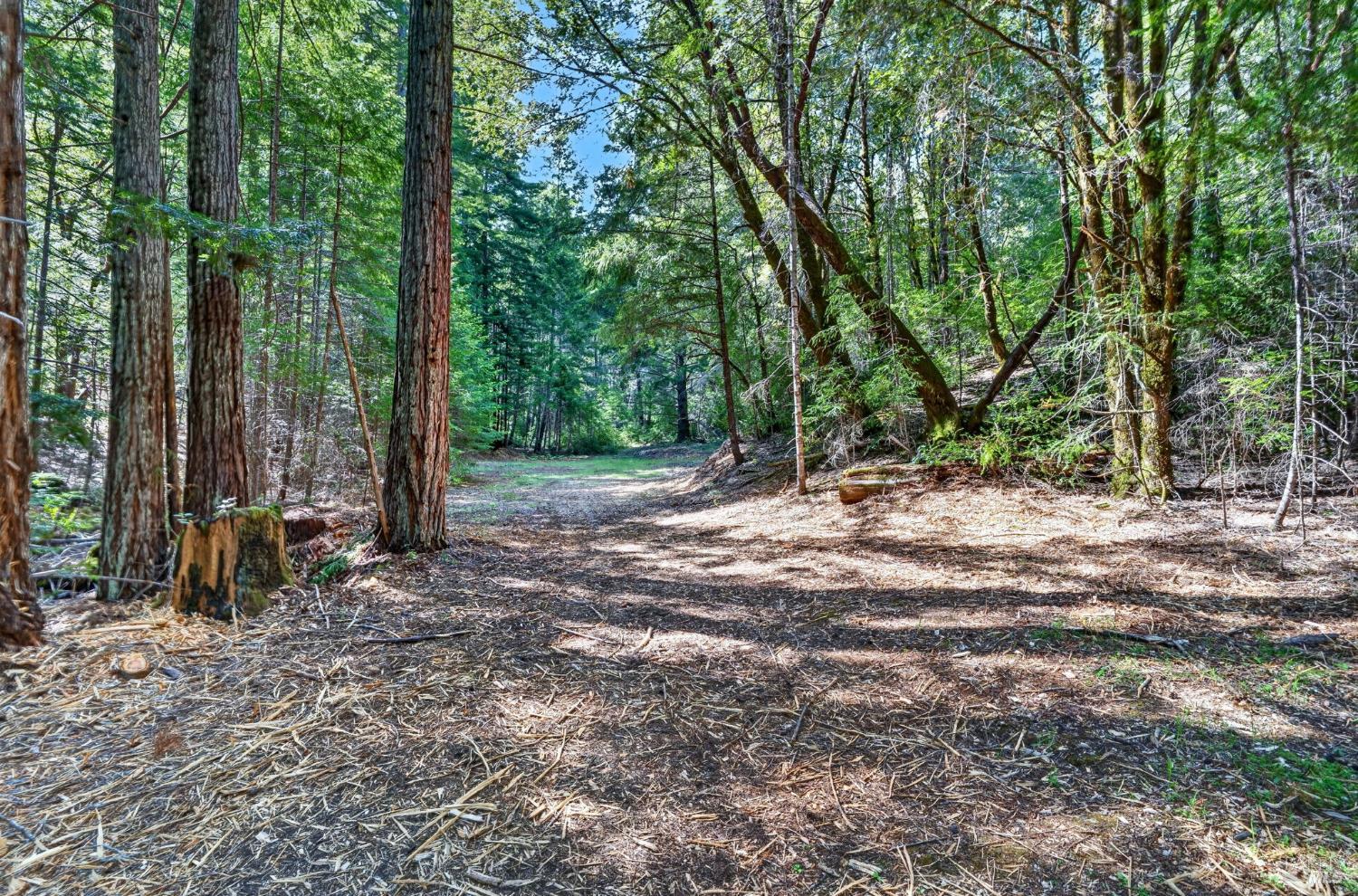 0 Maple Basin Road Philo CA 95466