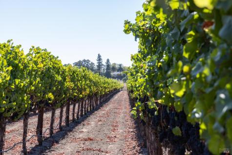 3000 River Road Windsor CA 95492