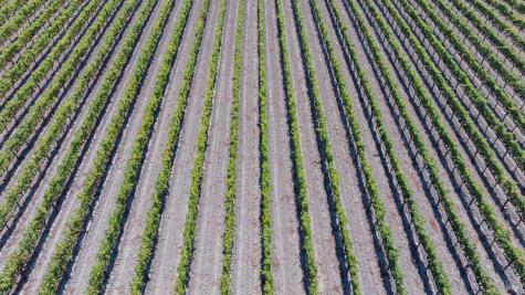 3000 River Road Windsor CA 95492