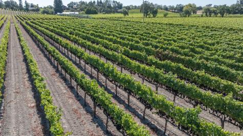 3000 River Road Windsor CA 95492