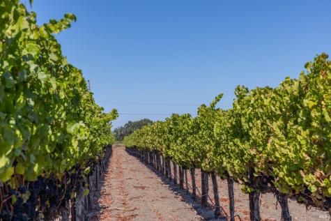 3000 River Road Windsor CA 95492