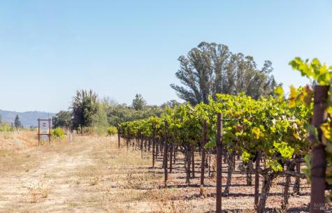 3000 River Road Windsor CA 95492