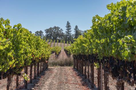 3000 River Road Windsor CA 95492