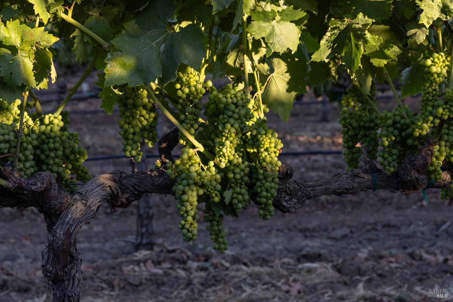 0 Lanza Drive Fairfield CA 94559